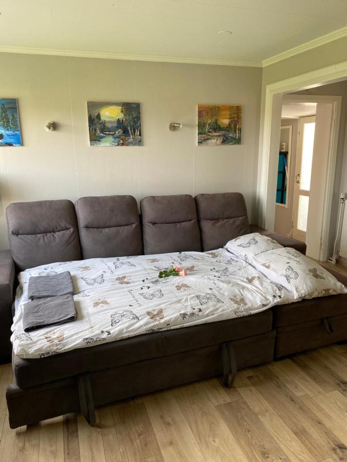 Luxus Apartment Byggdarhorn เซลฟอส ภายนอก รูปภาพ